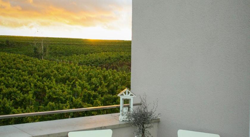 Winzerhotel Trautwein photo