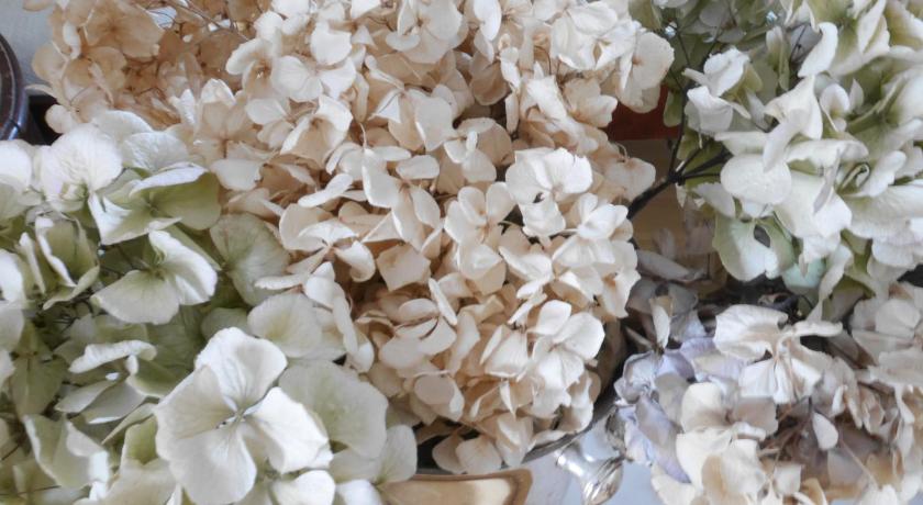 柏林 Hotel Rotdorn 酒店 泳池