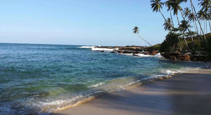 Star Beach Hotel photo