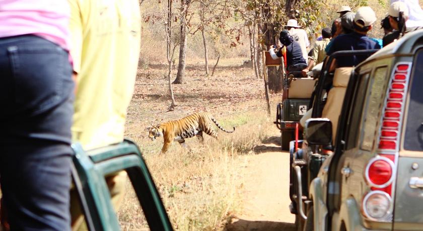 Infinity Resorts Bandhavgarh