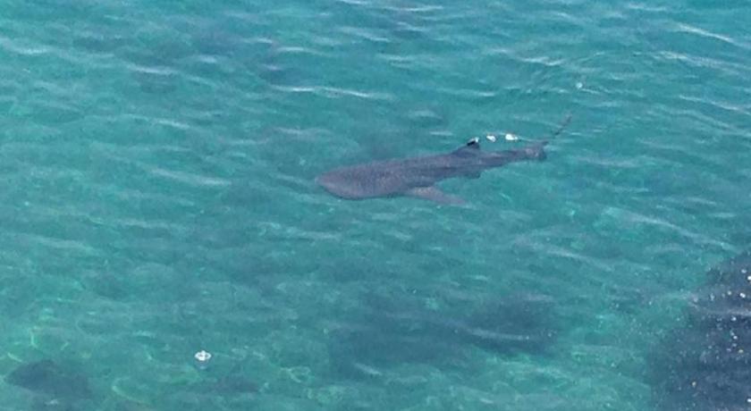 Cebu Jaynet Oceanview Resort Hotel suite