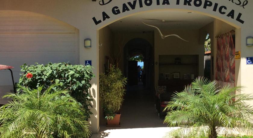 Hotel La Gaviota Tropical photo