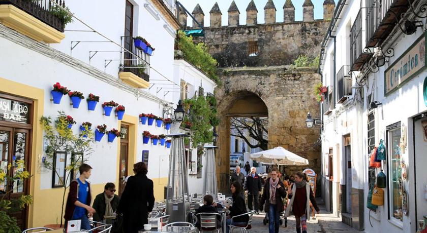 *New* Near to the Mosque and historic center - image 12