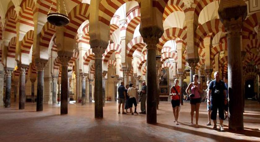 *New* Near to the Mosque and historic center - image 11