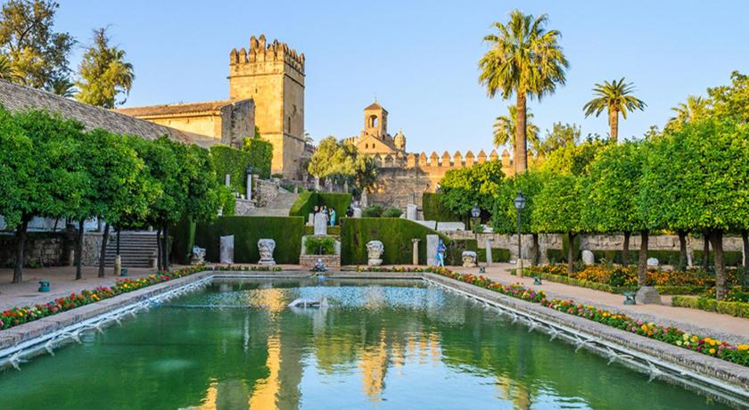 *New* Near to the Mosque and historic center - main image