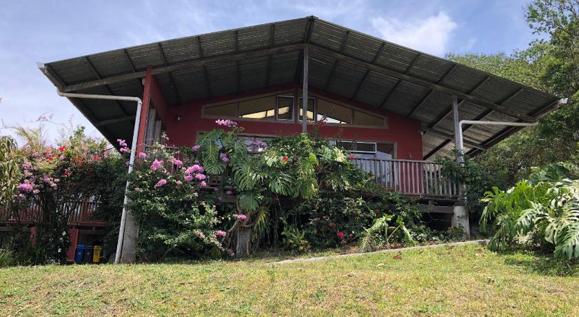 a garden with flowers and plants in it, Casa Canitas in Monteverde