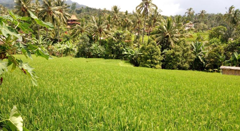 a grassy field with a bunch of trees, Uma Nirmala Aling-Aling in Bali