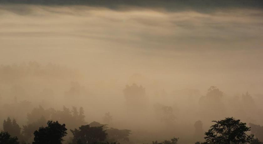 Sina Village photo