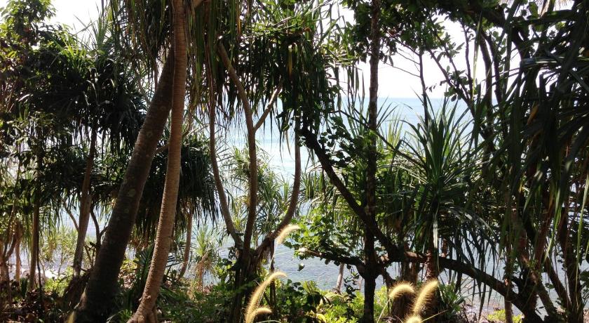 Image of Seaview Bungalow 17