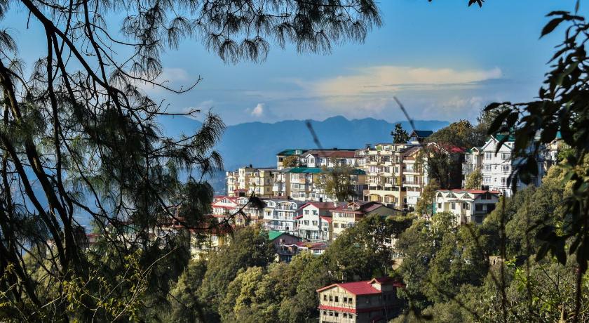 Dhanlaxmi Apartments — Hotel in Shimla
