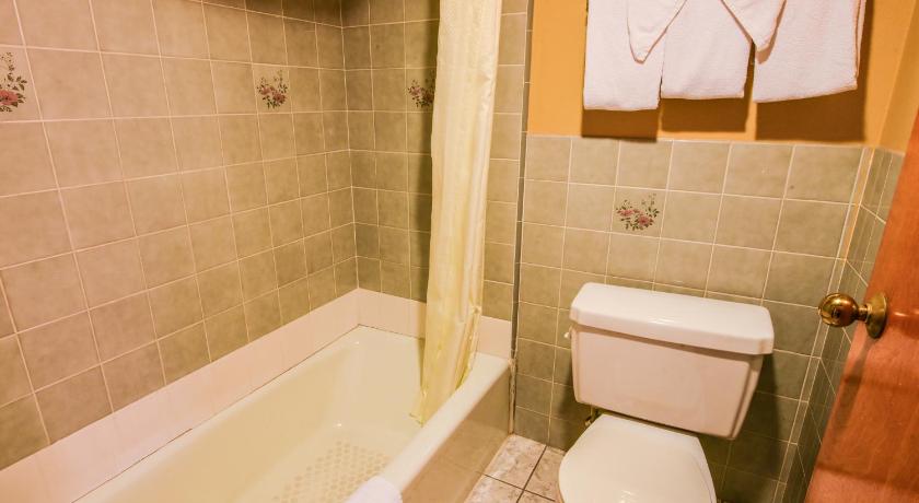 Chariot Inn photo