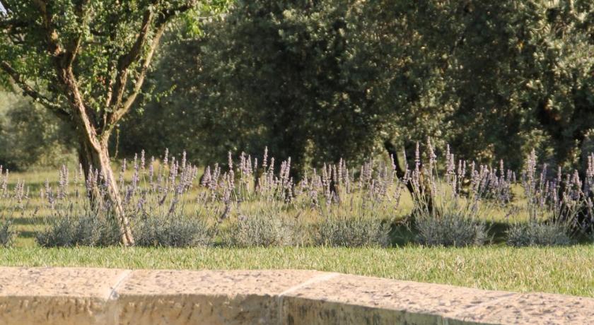 La Saracina photo