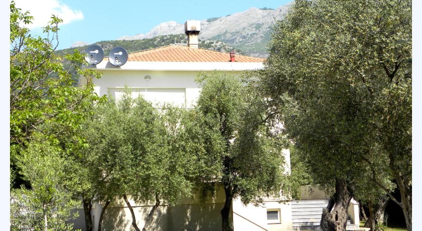Guesthouse Maslina — Hotel in Budva