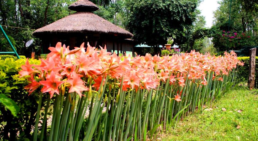 Shuklaphanta Jungle Cottage — Hotel in Dhangadhi