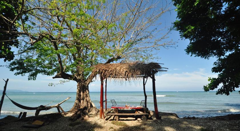 Howler Monkey Hotel photo