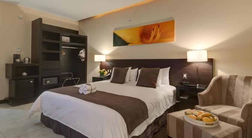 Image of Standard Studio with King Bed 3