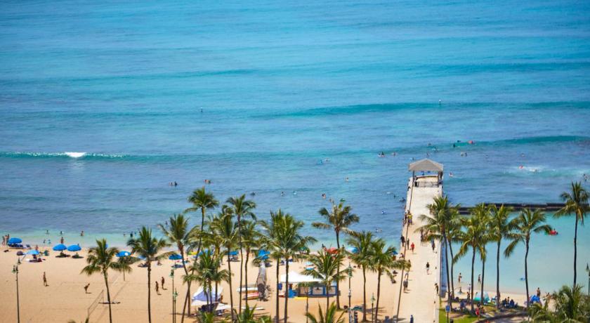 a beach with palm trees and palm trees, Queen Kapiolani Hotel in Honolulu (HI)