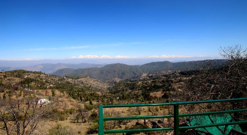 Nest and Hives Motiapathar/Mukteshwar photo