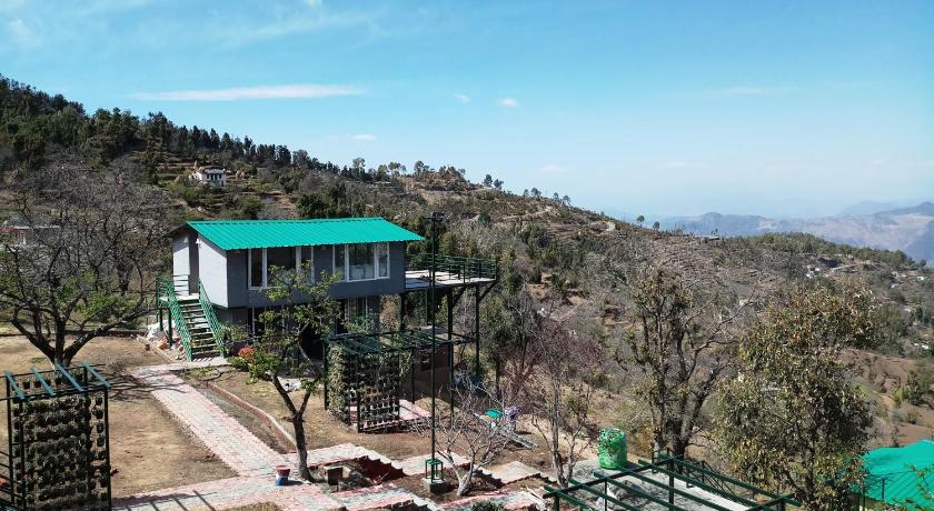 Nest and Hives Motiapathar/Mukteshwar photo