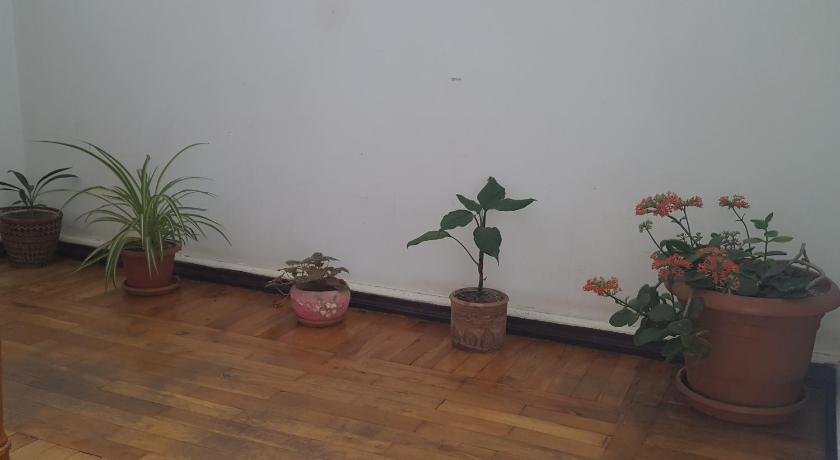 Hostel Mana Kutaisi photo