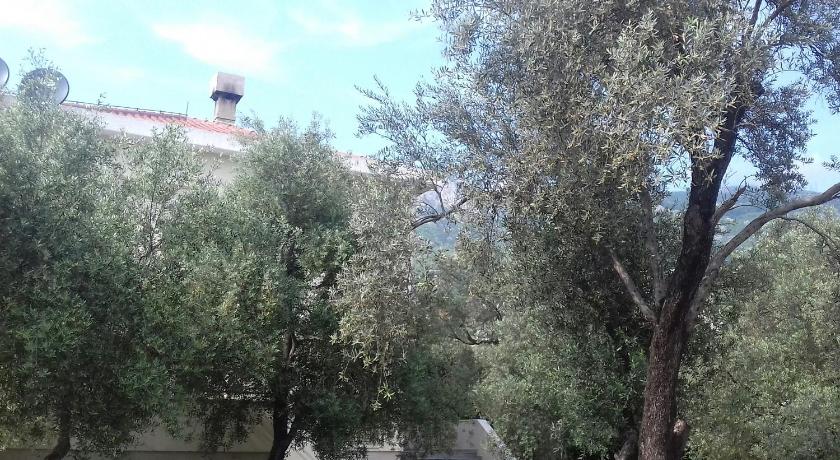 Guesthouse Maslina photo