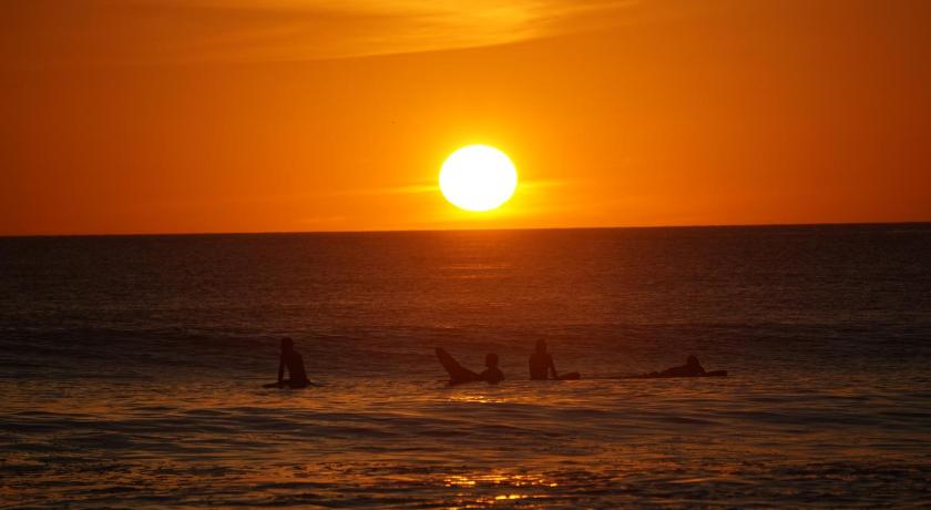 Buena Vista Surf Club photo