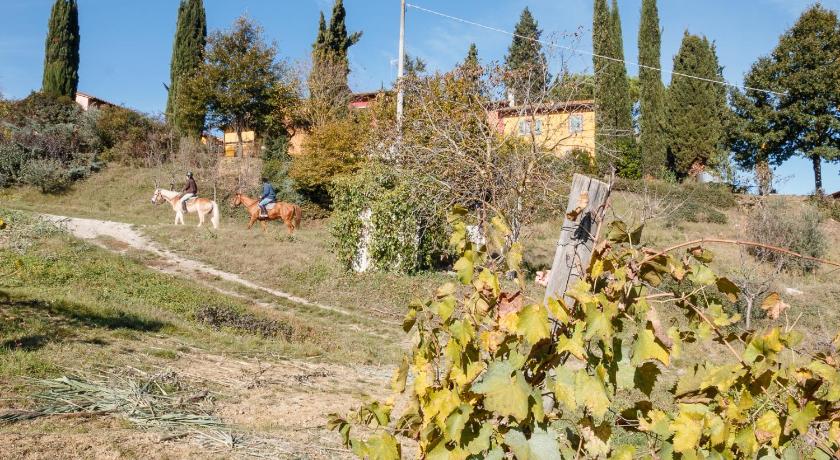 Podere Dell'Anselmo photo
