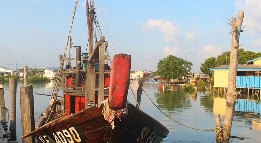 a boat is docked in the water near a dock, Sealion Bangalow Homestay in Klang