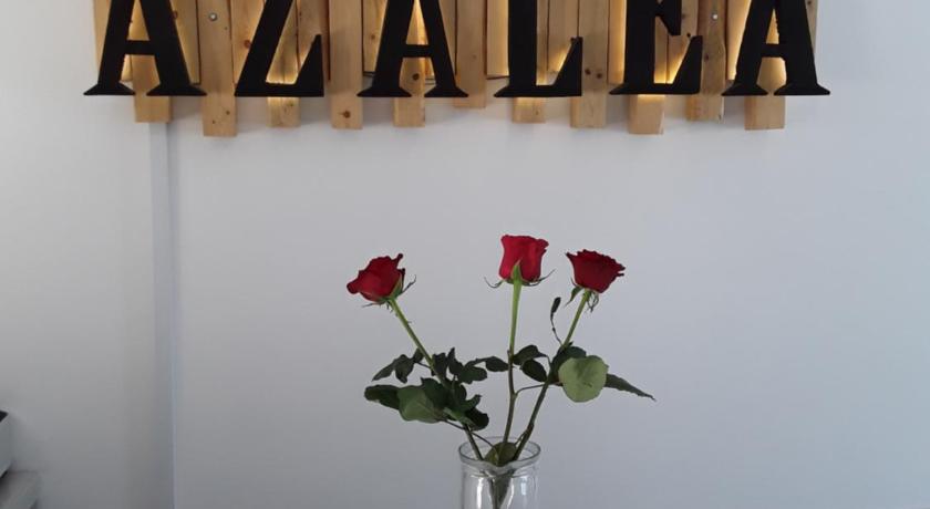Azalea Hotel photo