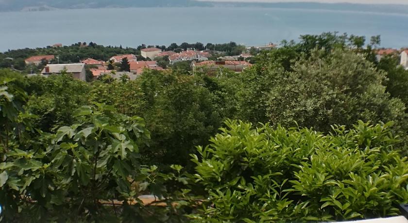 Apartman Darko photo