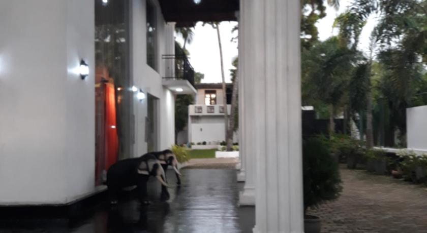 The Kingston Hotel photo