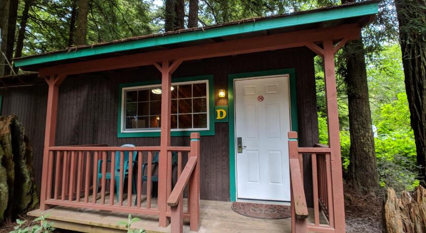 Emerald Forest Cabins photo