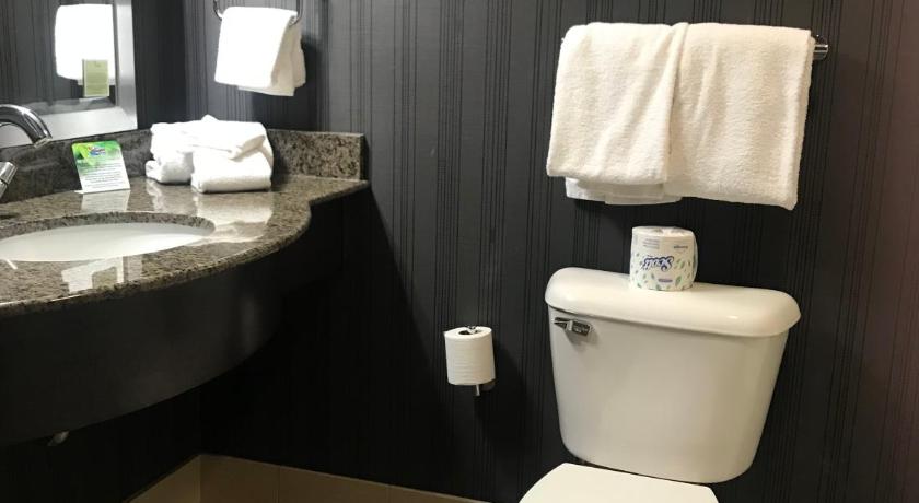 Best Price On Soaring Eagle Waterpark And Hotel In Mount
