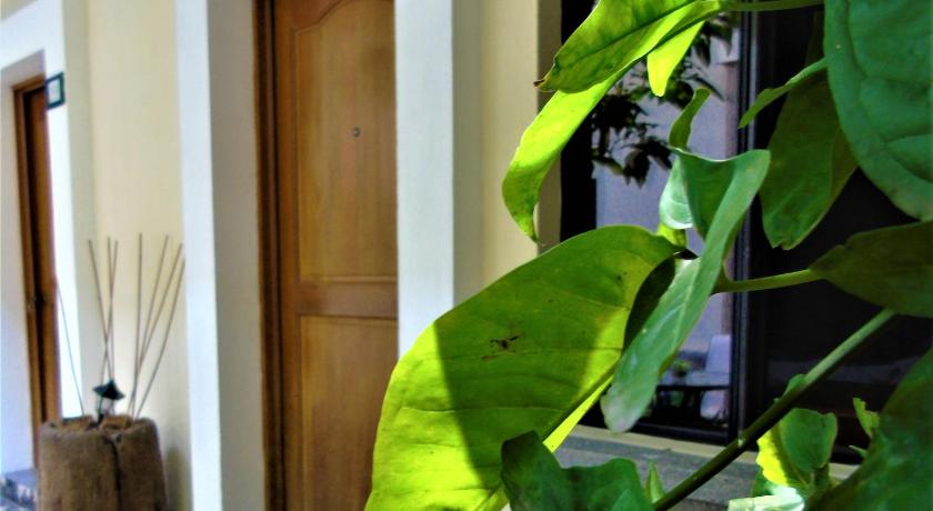 Las Magnolias Hotel Boutique photo