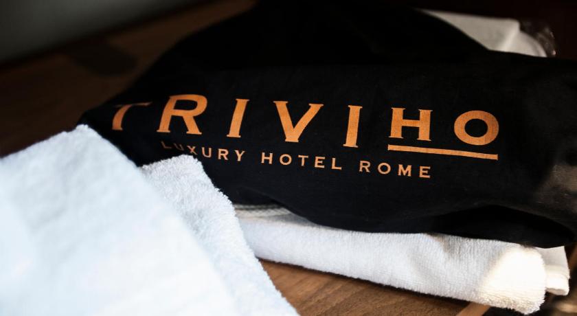 罗马 Triviho Luxury Hotel Rome 3星级 酒店 餐厅