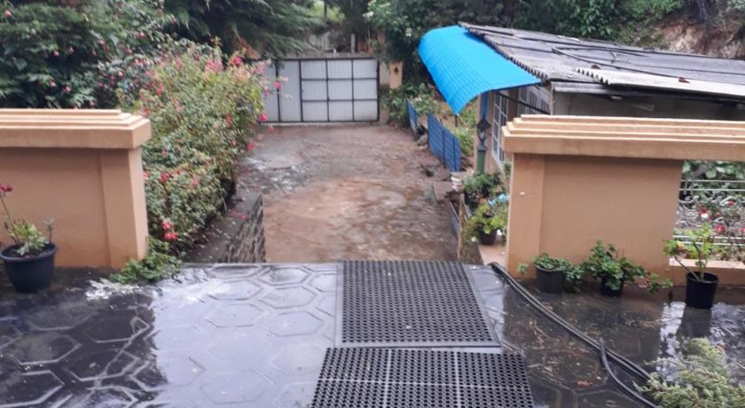 Rainyfreindz photo