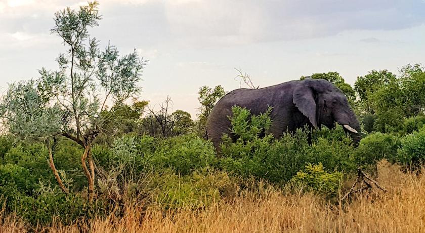 OuKlip Game Lodge photo