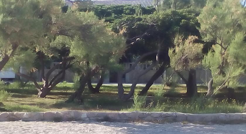 Apartmani Garden photo