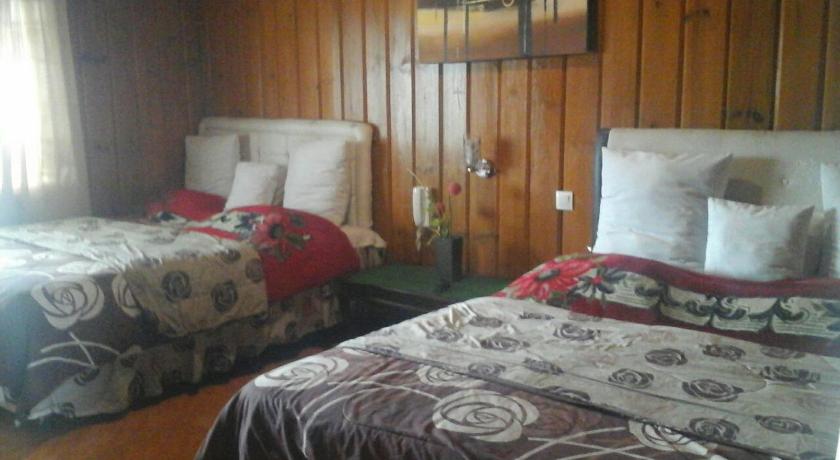 a bedroom with two beds and two lamps, Cemara Indah Hotel in Bromo