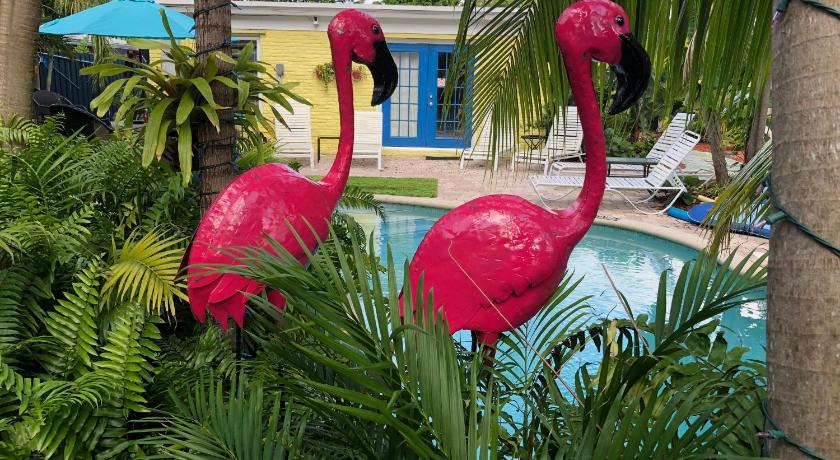 Calypso Inn Wilton Gay Male Resort — Hotel in Fort Lauderdale (FL)