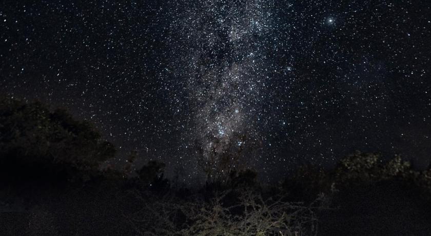 Olarro Plains photo