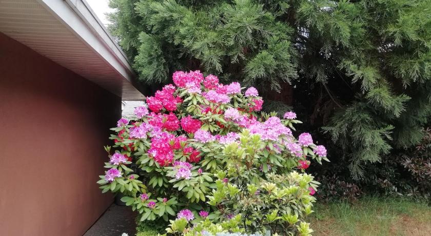 Lido Family Guest House photo