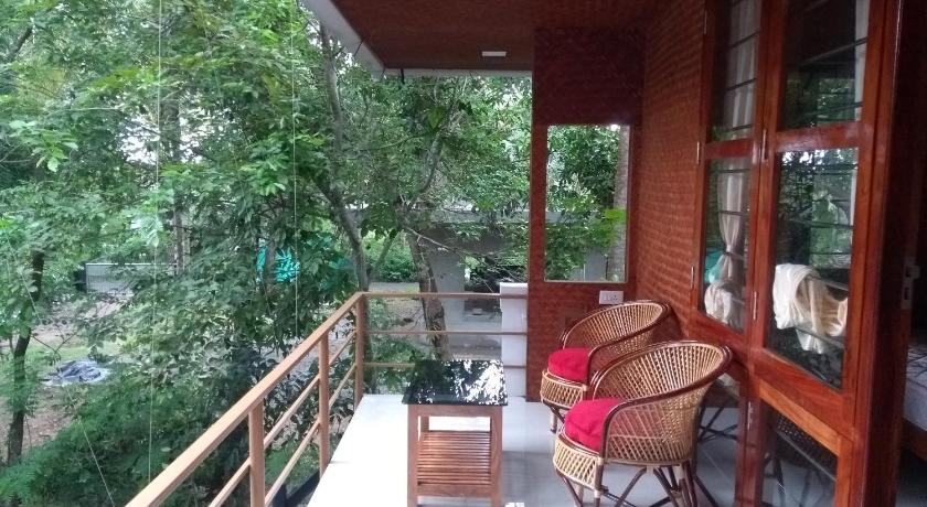 Coconut Garden - image 14