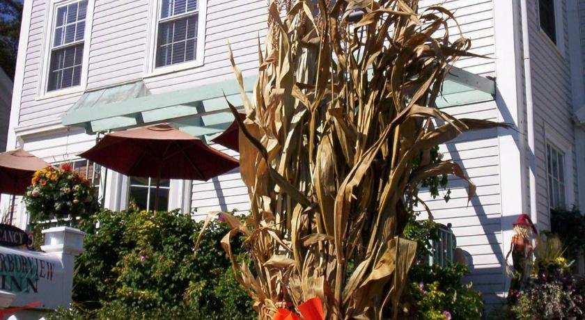 Harborview Inn photo