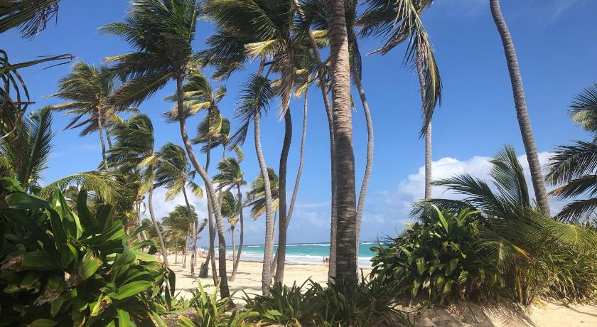 Art Villa Dominicana photo