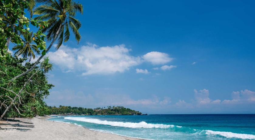 a beach with palm trees and palm trees, Katamaran Hotel & Resort in Lombok