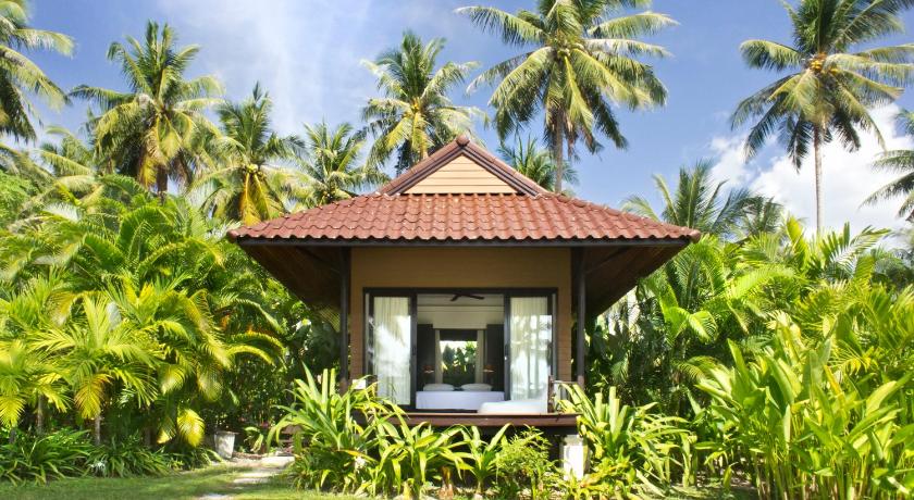 Image of Shantaa Sweet ( Adult Only) 1