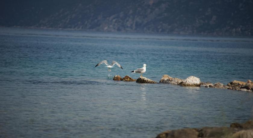 Belvedere Suites Korfos photo