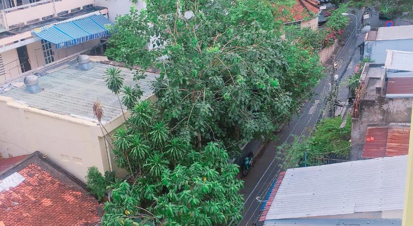 a tree in the middle of a city, Helen Home in Ho Chi Minh City