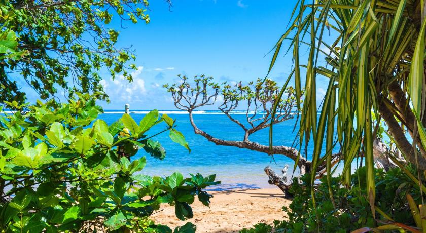 Anini Ohana Hale TVNC#4255 — Hotel in Kalihiwai (HI)